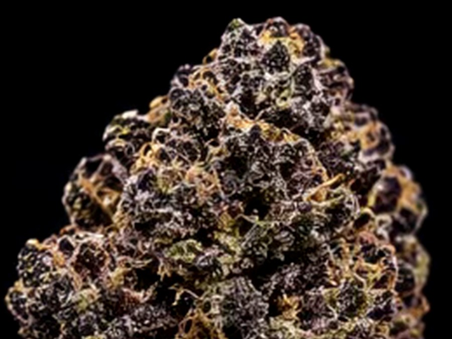3.5g Random Purple Strain thumbnail