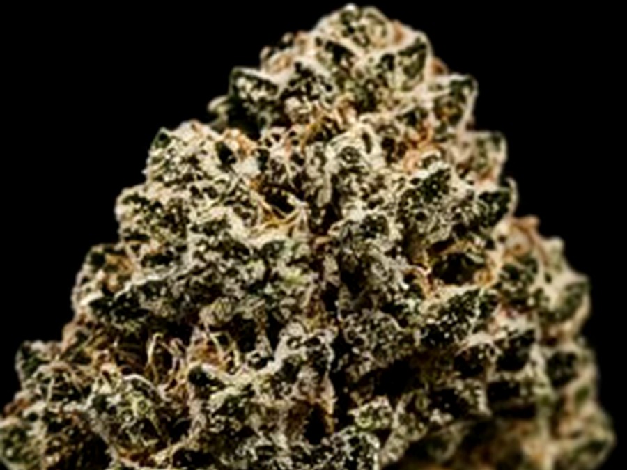 3.5g Random Hybrid Strain thumbnail