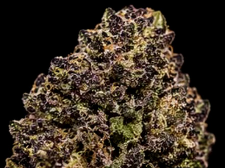 14g Random Purple Strain thumbnail