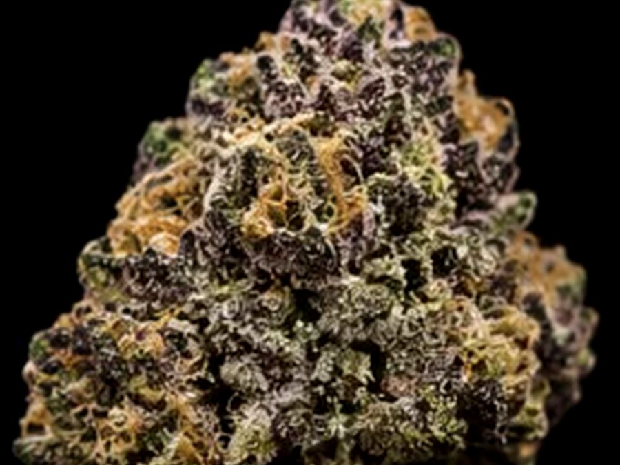 7g Random Purple Strain thumbnail