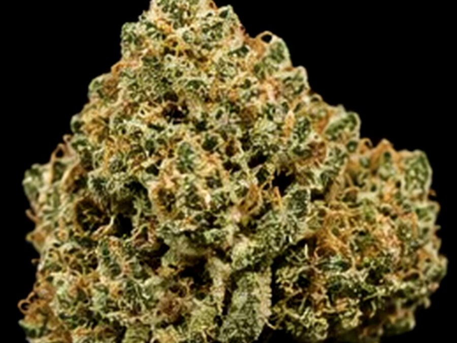 3.5g Random Sativa Strain thumbnail